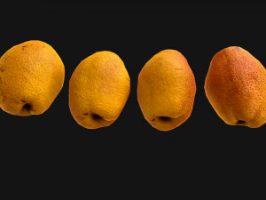 Pear 3D Model