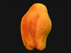Pear 3D Model