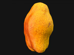 Pear 3D Model