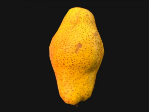 Pear 3D Model