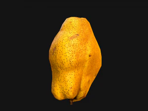 Pear 3D Model