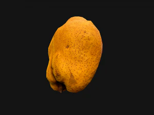 Pear 3D Model