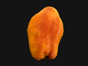Pear 3D Model