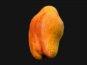 Pear 3D Model