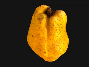 Pear 3D Model