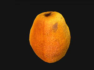 Pear 3D Model