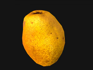 Pear 3D Model