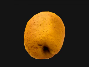Pear 3D Model