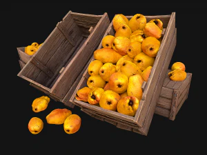 Tempat Kotak Peti Pir Model 3D