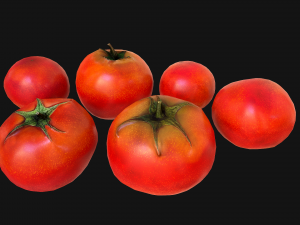 Tomatoes 3Dモデル