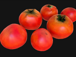 Tomatoes 3Dモデル