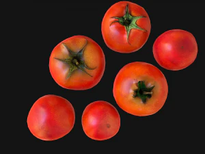 Tomatoes 3D Model