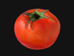 Tomatoes 3Dモデル