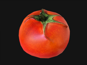 Tomatoes 3Dモデル