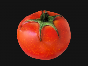 Tomatoes 3Dモデル