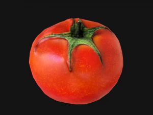 Tomatoes 3D Model