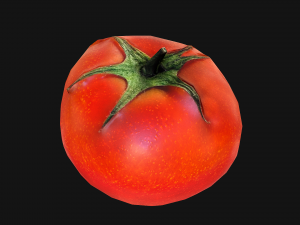Tomatoes 3Dモデル