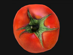 Tomatoes 3D Model