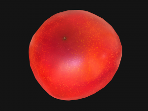 Tomatoes 3Dモデル