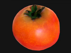 Tomatoes 3D Model