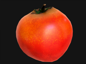 Tomatoes 3Dモデル