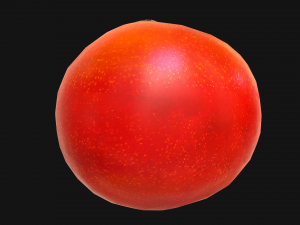 Tomatoes 3Dモデル