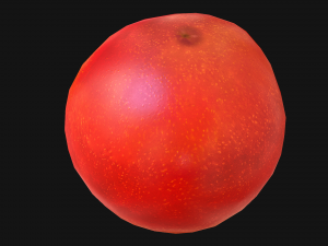 Tomatoes 3Dモデル