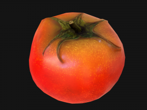 Tomatoes 3Dモデル