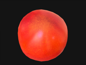 Tomatoes 3Dモデル