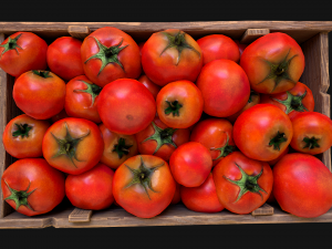 Tomatoes Box Crate Stand 3D Model