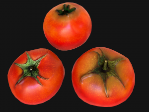 Tomatoes Box Crate Stand 3D Model