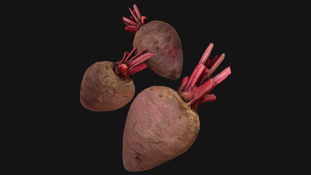 BeetRoot Modelo 3D .c4d .max .obj .3ds .fbx .stl .blend 