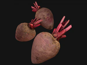Beterraba Modelo 3D