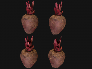 BeetRoot Modelo 3D