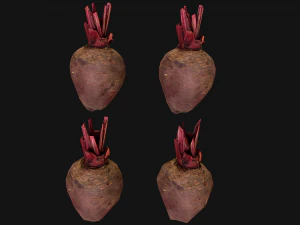 Beterraba Modelo 3D