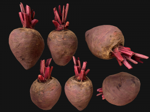 BeetRoot Modelo 3D