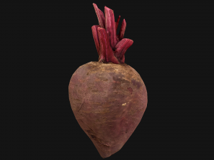 BeetRoot Modelo 3D