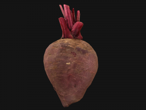 BeetRoot Modelo 3D