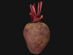 BeetRoot Modelo 3D