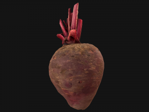 BeetRoot Modelo 3D