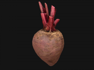 BeetRoot Modelo 3D