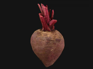 Beterraba Modelo 3D