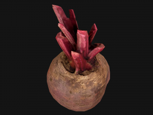 BeetRoot Modelo 3D