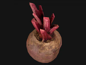 Beterraba Modelo 3D