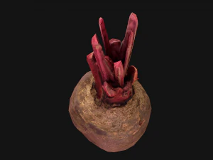 Beterraba Modelo 3D