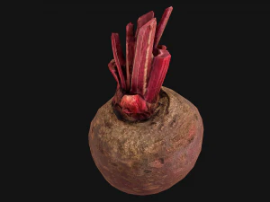 Beterraba Modelo 3D