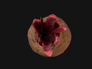 Beterraba Modelo 3D