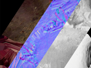 BeetRoot Modelo 3D