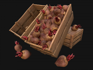 BeetRoot Box Crate Stand 3D Model