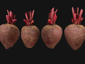 BeetRoot Box Crate Stand 3D Model